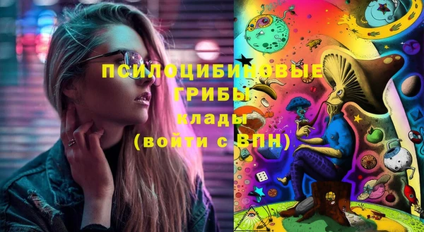 стаф Богданович
