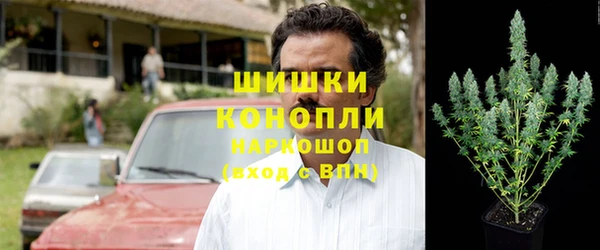 стаф Богданович