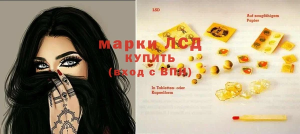 стаф Богданович