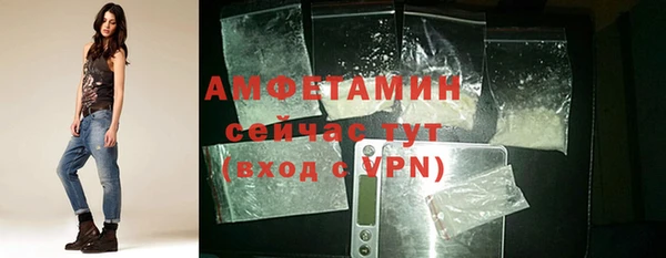 стаф Богданович