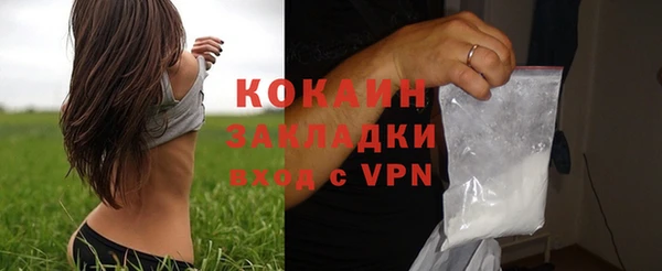 стаф Богданович