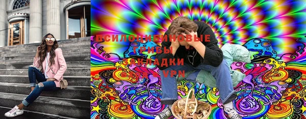 стаф Богданович