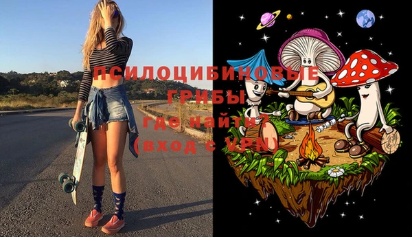 стаф Богданович