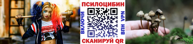 hydra рабочий сайт  Очёр  Псилоцибиновые грибы прущие грибы 